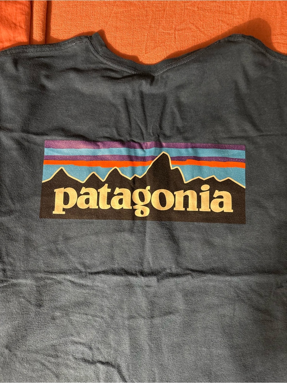 Patagonia Navy Tee with Multicolor Mountain Logo - Picture 2 of 5